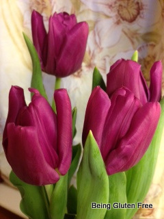 Spring Signals