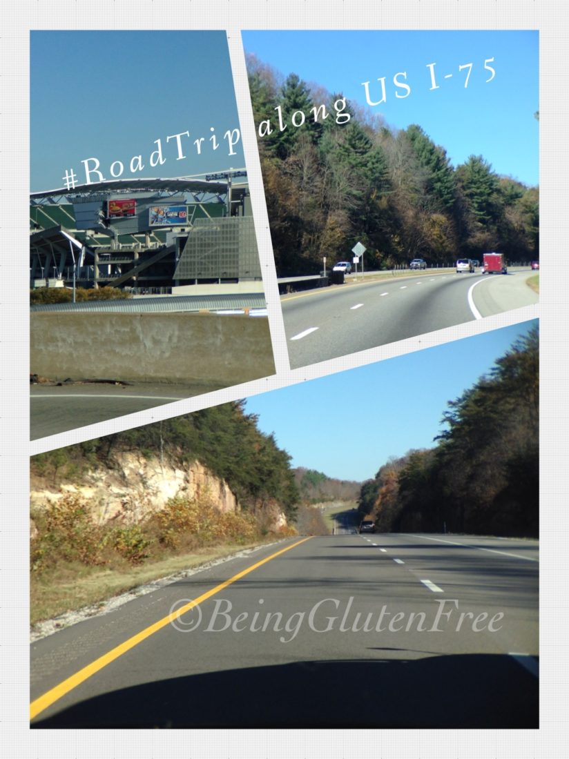 Roadtrip US I-75