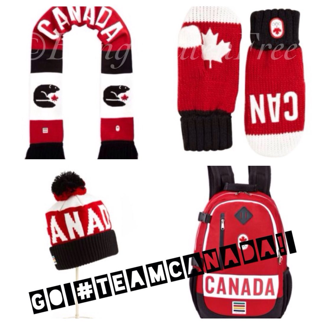 Yoplait Canadian Olympic gear