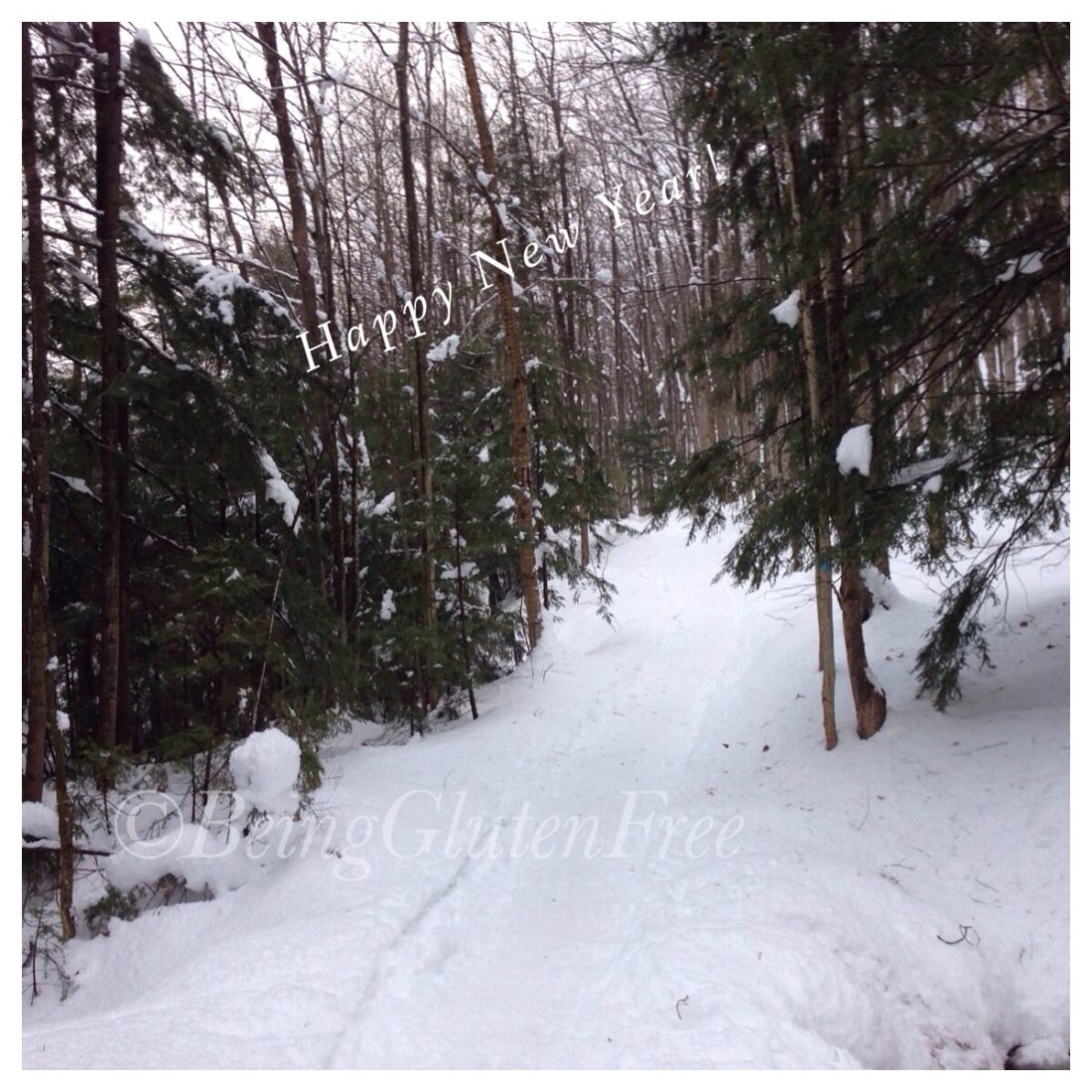 New Path for 2014