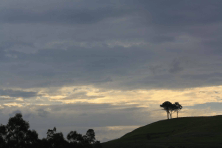New South Wales